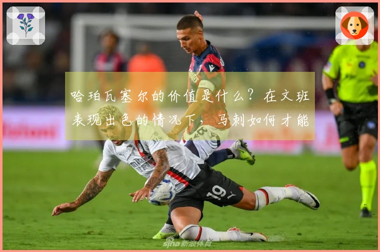 哈珀瓦塞尔的价值是什么？在文班表现出色的情况下，马刺如何才能获胜？